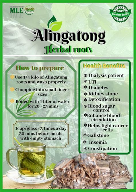 Alingatong Herbal Roots .